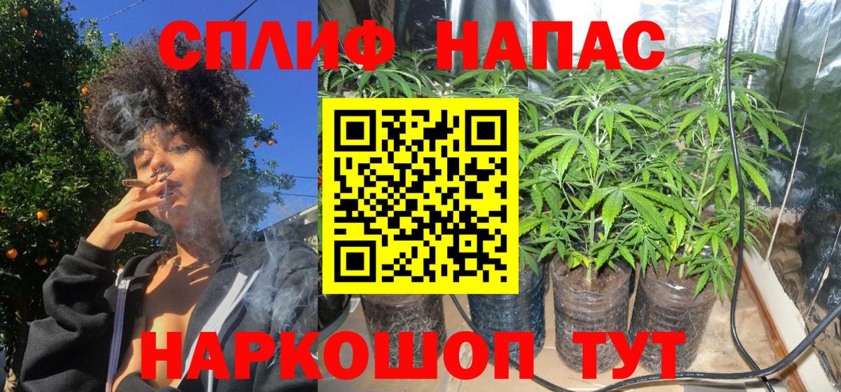 Конопля семена  Бошки марихуана марихуана  Вход с VPN  Канабис White Widow  Улан-Удэ 